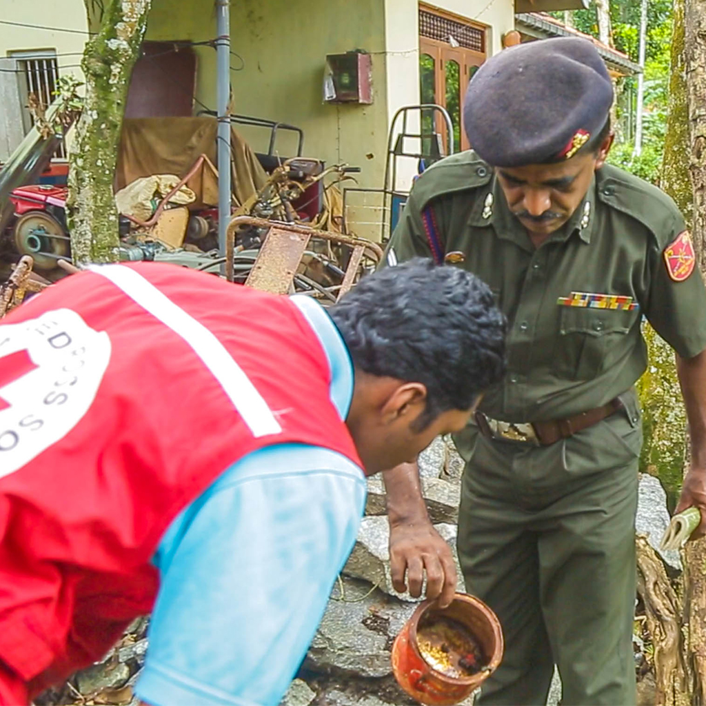 5 ways to prevent dengue picture