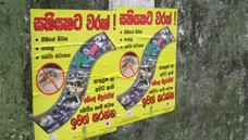 Cleaning campaigns underway in Kolonnawa to curb Dengue
