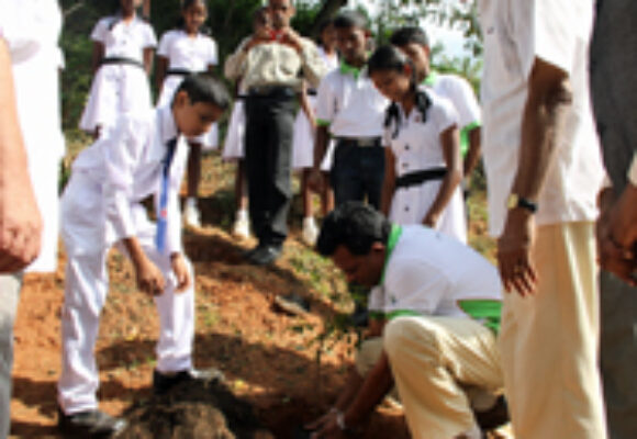 Adopt & Adapt; Plant a tree & save the planet