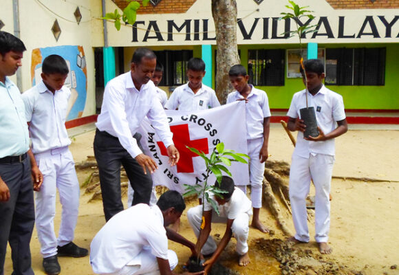 Tree planting in Moneragala to aid the environment & climate change