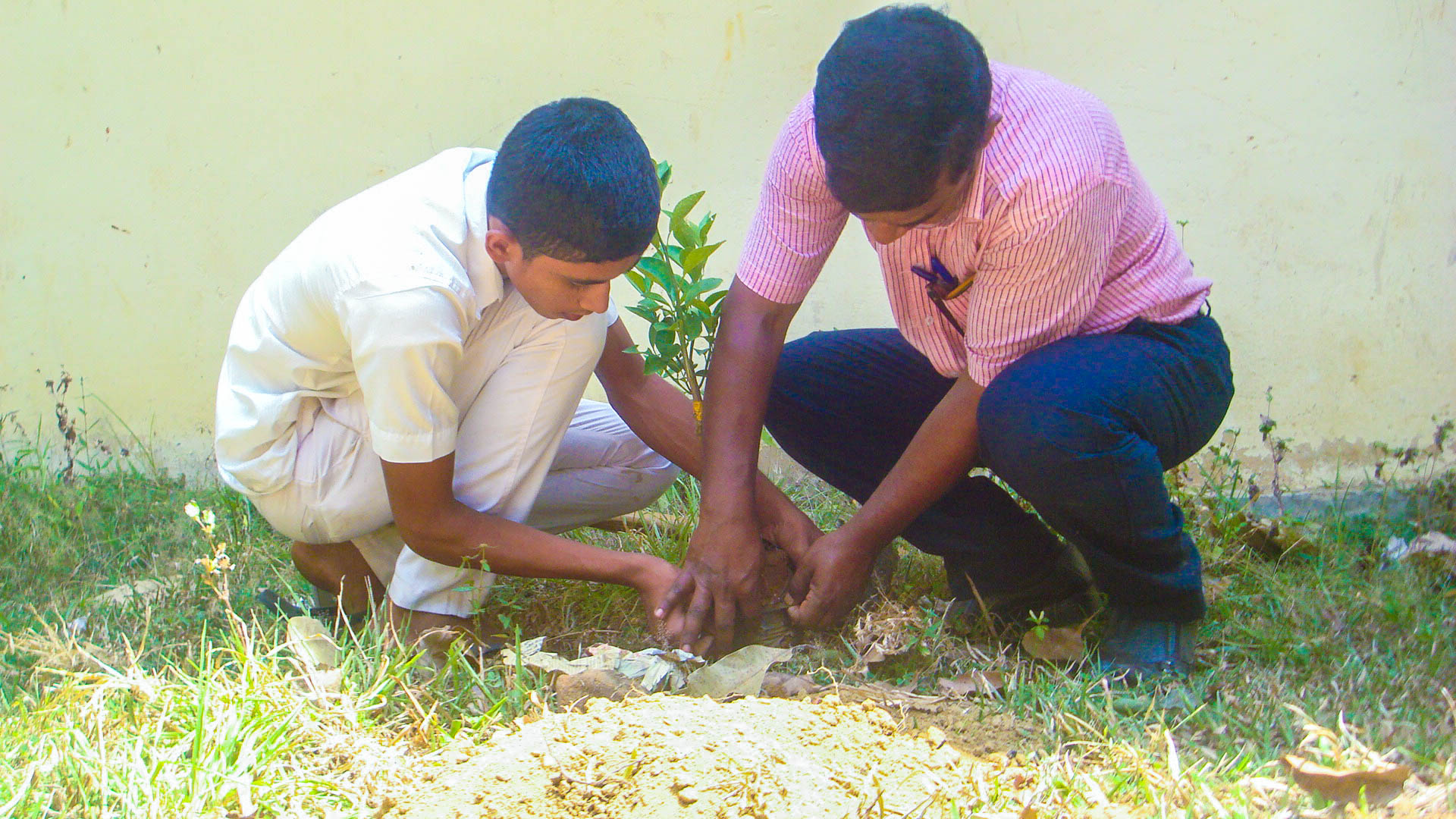 Combating a global disaster with the help of the younger generation
