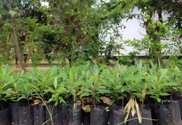 Supporting farmer communities in climate change adaptation activities